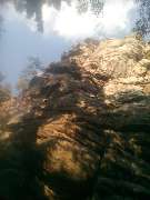 zv�t�it