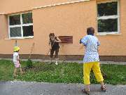 zv�t�it